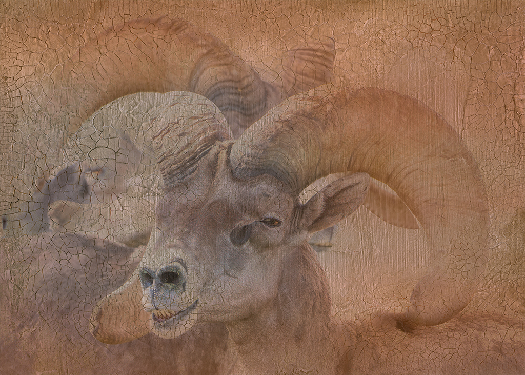 FrenchKiss_Atelier_Moon-Walk_2 copy-sm