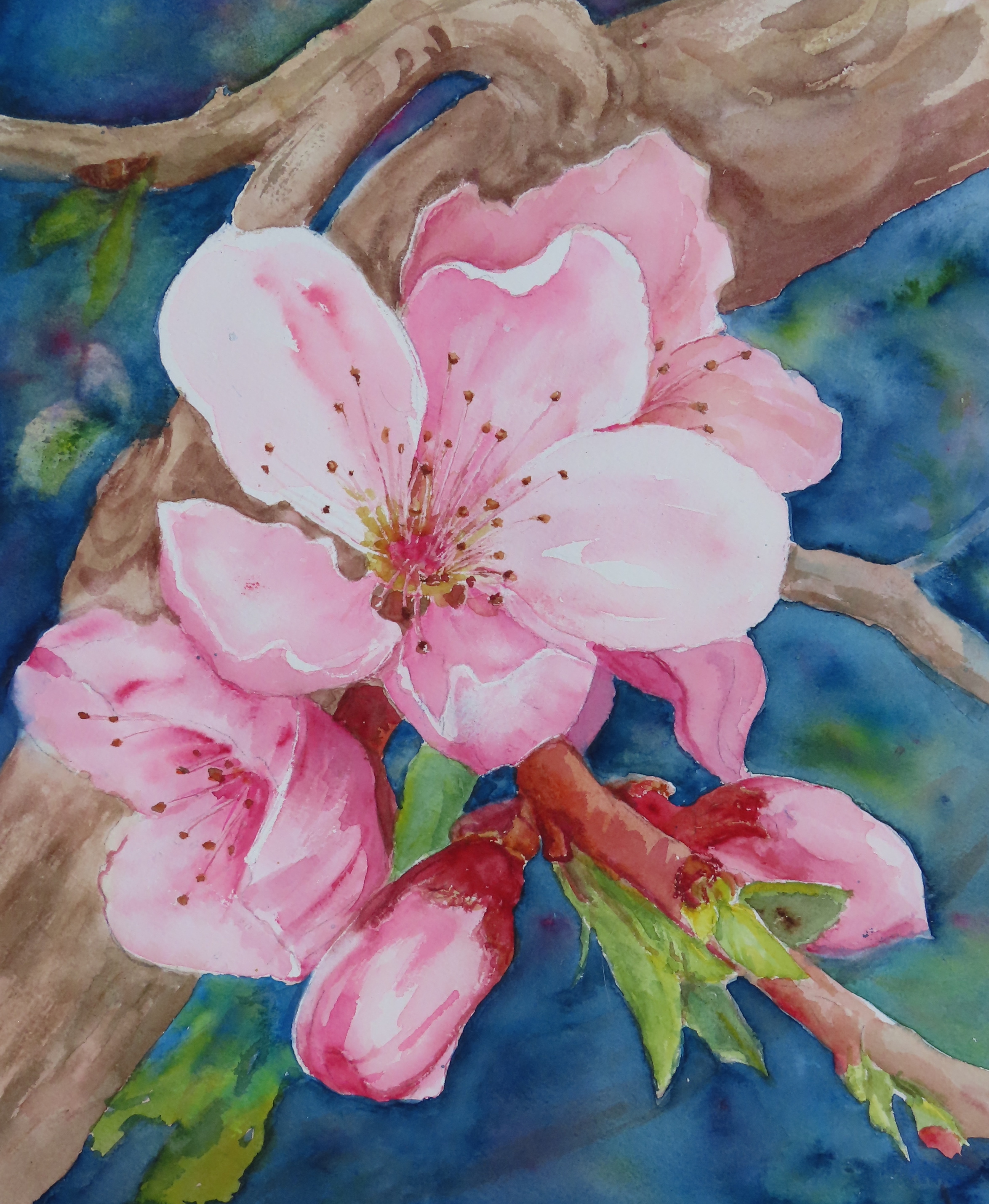 Spring is Bursting Out